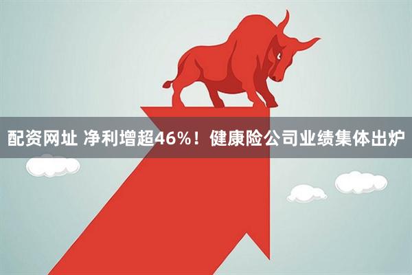 配资网址 净利增超46%！健康险公司业绩集体出炉