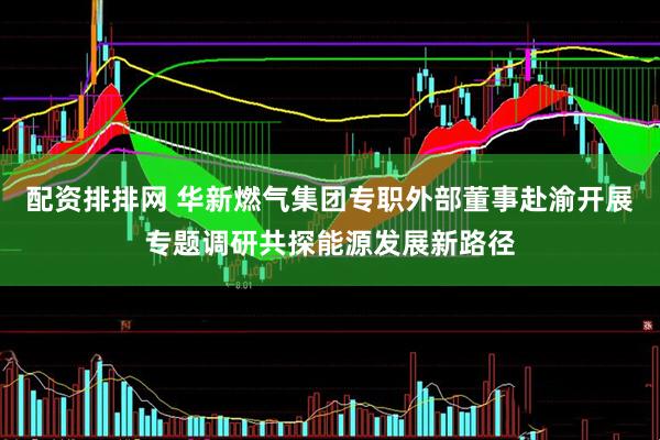 配资排排网 华新燃气集团专职外部董事赴渝开展专题调研共探能源发展新路径